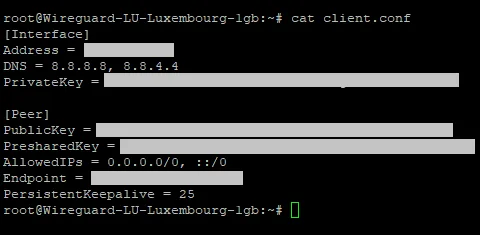Terminal output of cat client.conf on a one-click WireGuard VPS, showing the Interface and Peer blocks with the keys and endpoint redacted