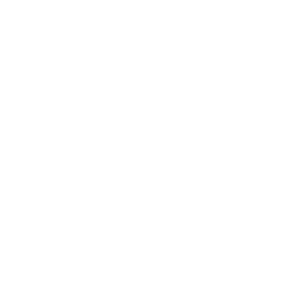 Automatisch