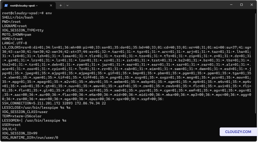 Checking Environment Variables