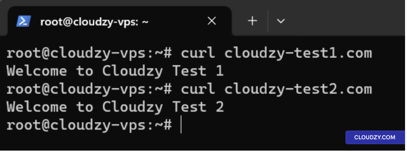 Test Websites with Curl