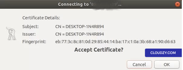 Certificate details window before connecting