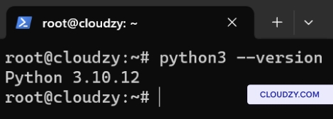 Check Python version