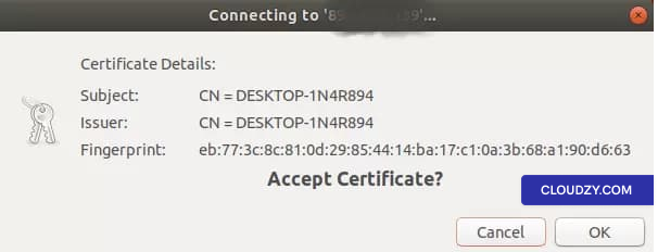 Certificate details window before connecting