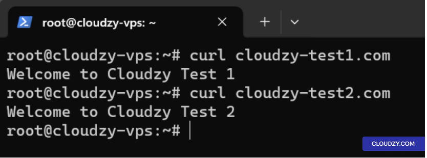 Test Websites with Curl