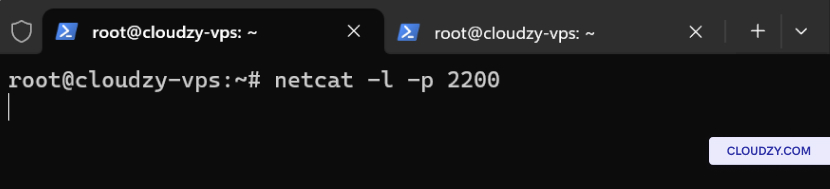 Setting Up a Netcat Listener