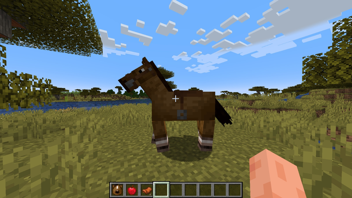 Where to Look For A Horse in Minecraft