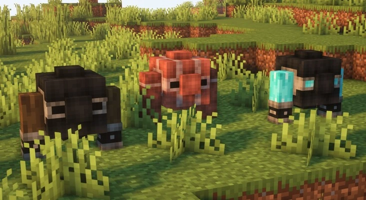 Minecraft Server  Management Commands