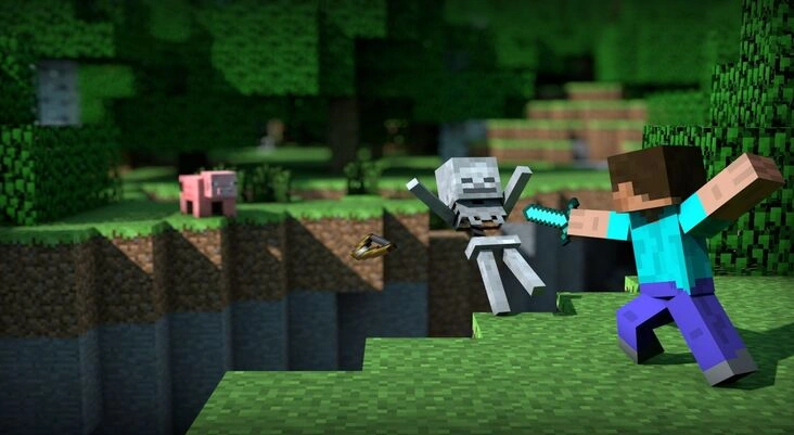 Proxy Minecraft Server Types 