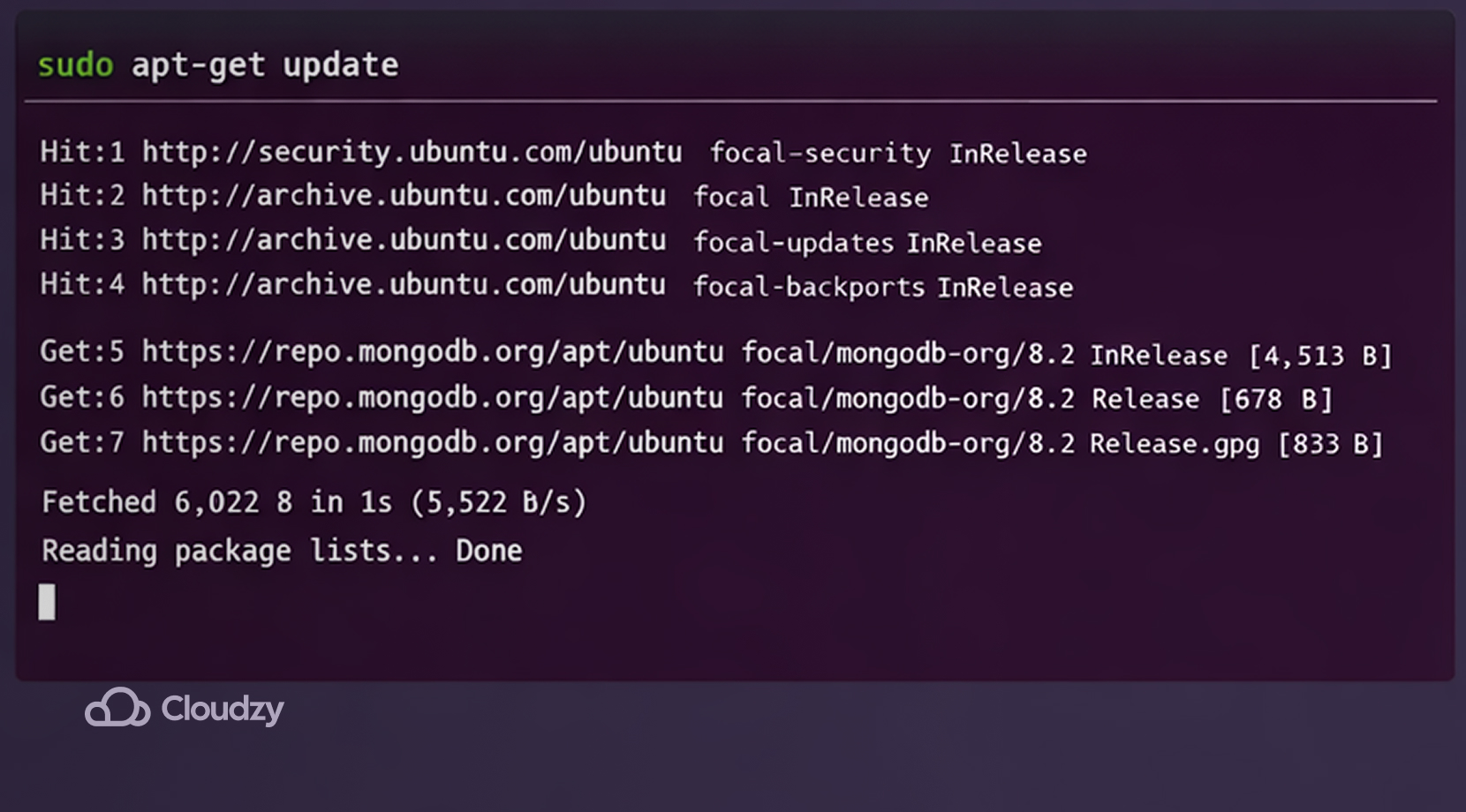 Ubuntu terminal output after running sudo apt-get update