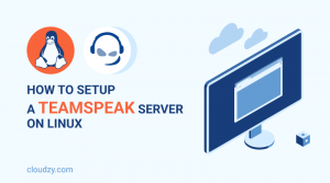 setup teamspeak in linux server