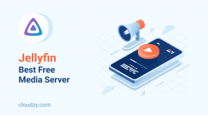 jellyfin server