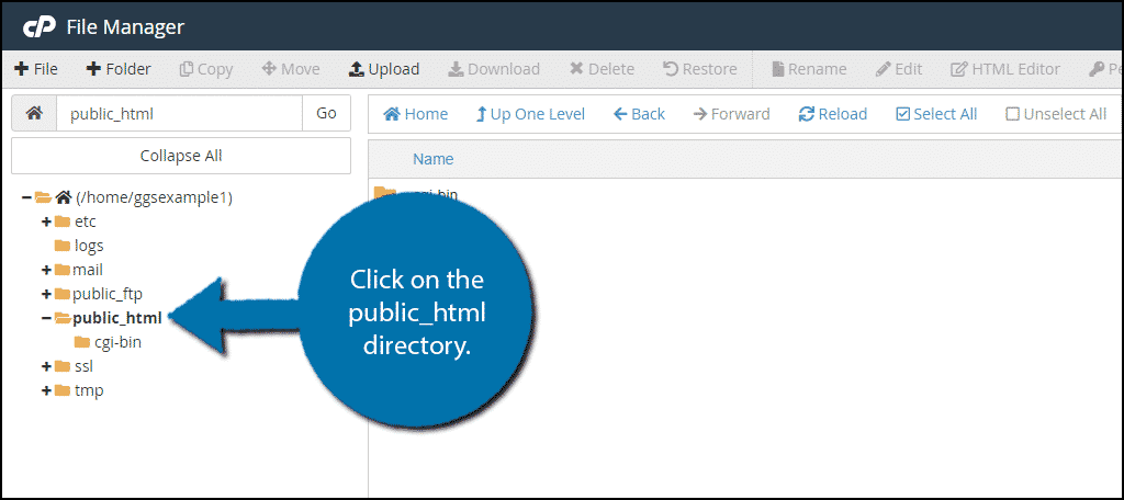 find public html directory