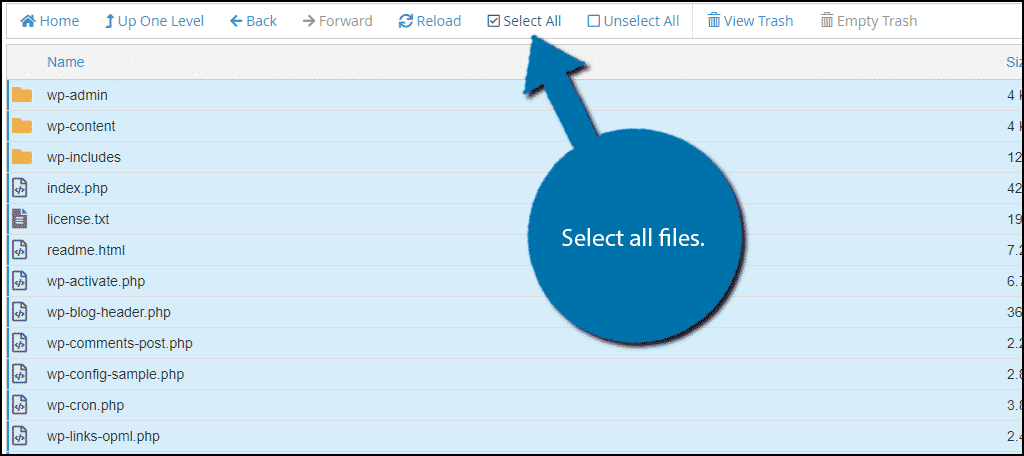 select all wordpress files