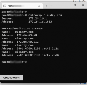 NsLookup Commands in Windows and Linux: A DNS Guide
