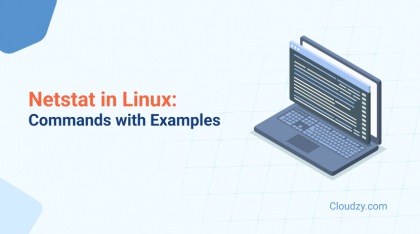 Linux Netstat Command: Tutorial, Installation, and Examples