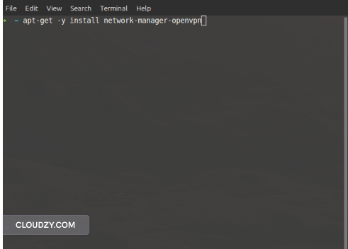 linux terminal screenshot network manager openvpn