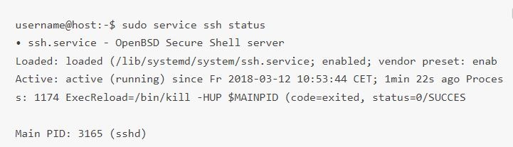 ssh status