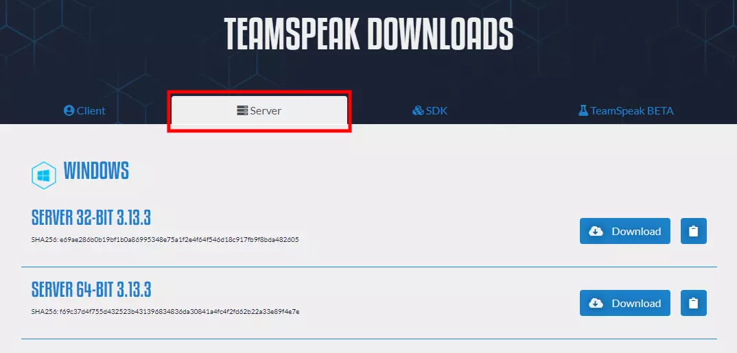 download teamspeak server