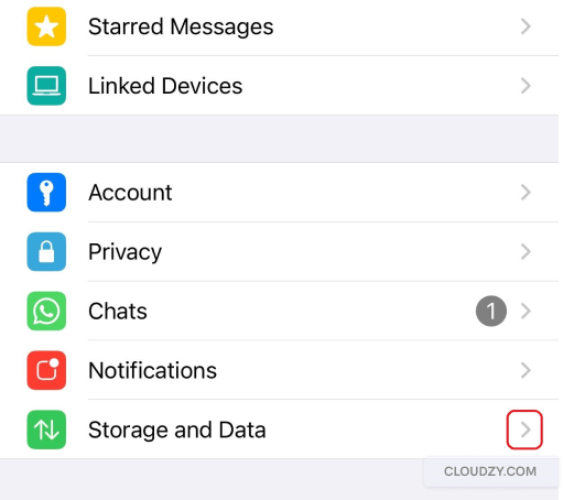 whatsapp iphone screenshot